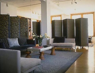 Loft Residence Lower Broadway NYC 3_500